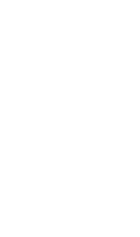 Mobile Icon