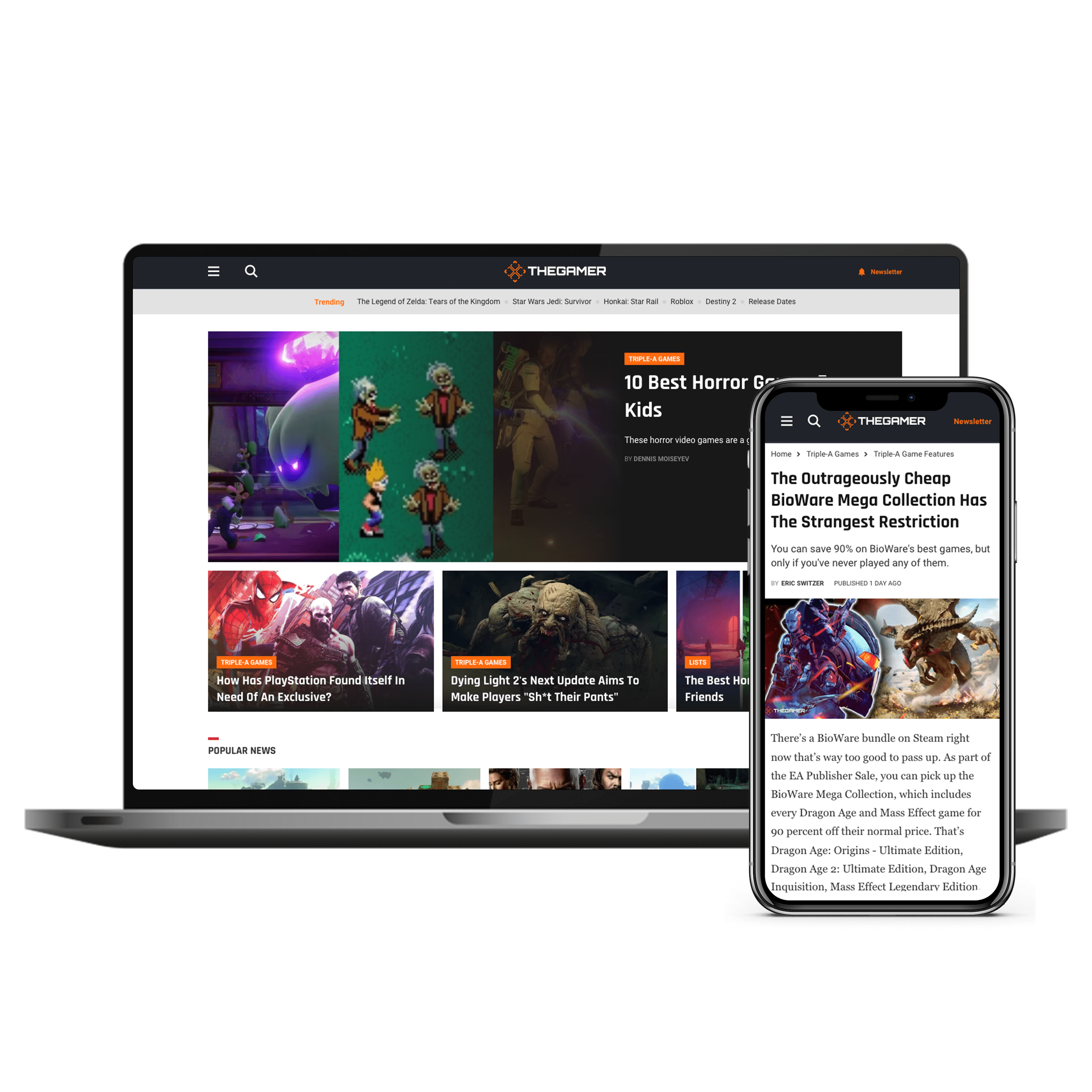 TheGamer website